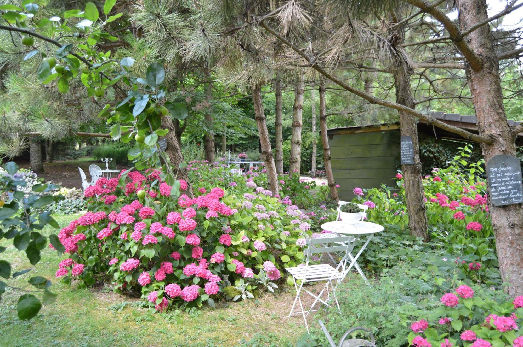 Les Insolites Watronville Εξωτερικό φωτογραφία