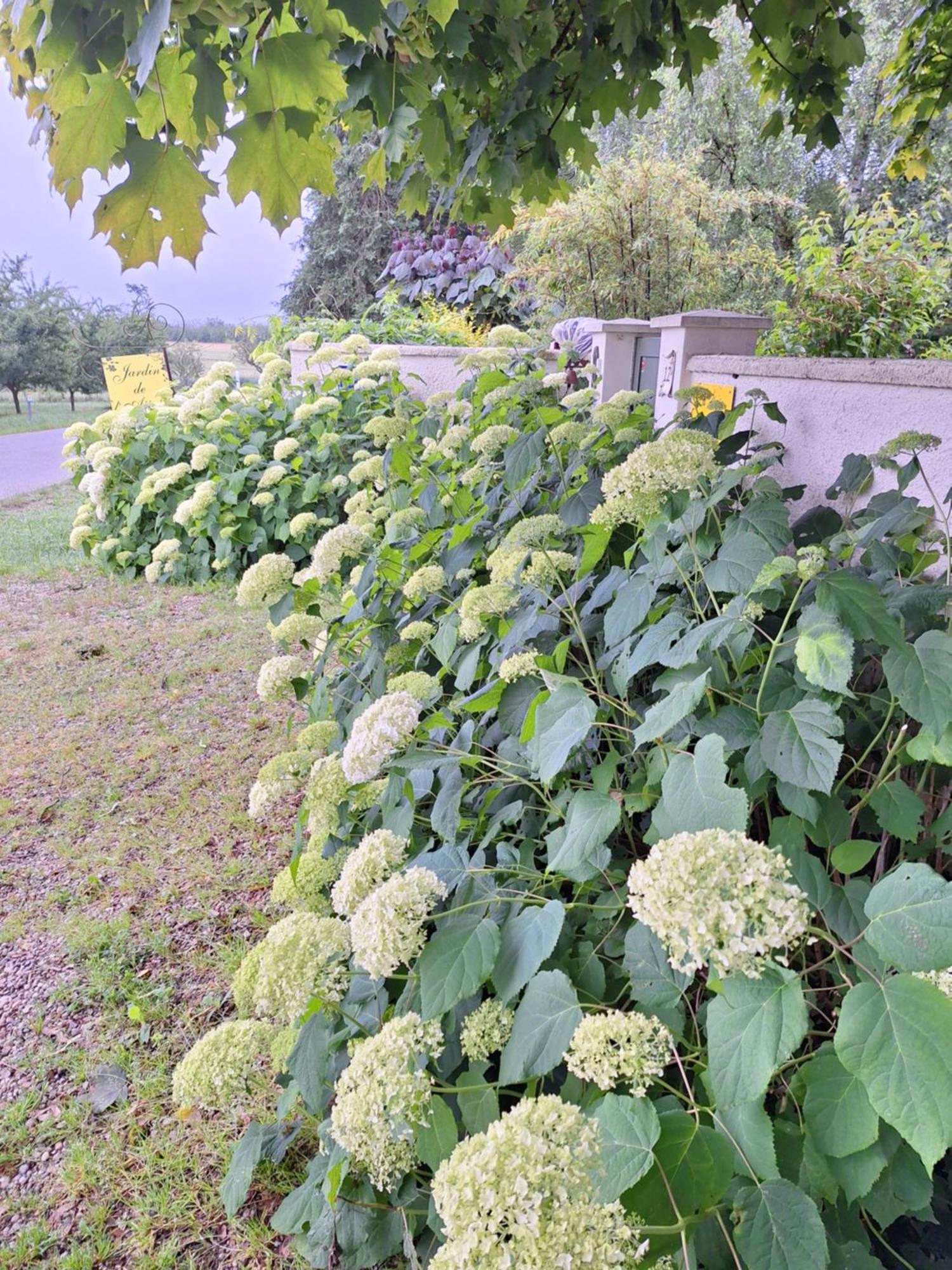 Les Insolites Watronville Εξωτερικό φωτογραφία